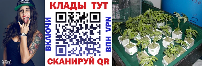 Купить ГАШ  НБОМе  COCAIN  МДМА  МЕФ  АМФ  Бошки Шишки  Владивосток
