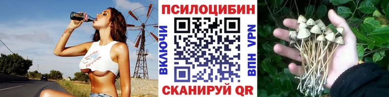 Купить где  Владивосток  Галлюциногенные грибы Magic Shrooms 